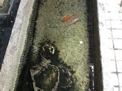 -福瑞记老孙头biangbiang面(新生路店)