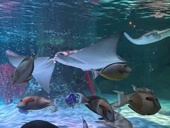 -沈阳海洋探索中心