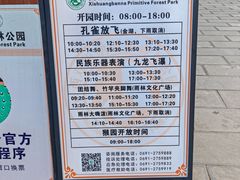 -西双版纳原始森林公园