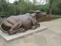 -梁鸿国家湿地公园