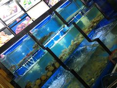 水产区-老东镇啤酒屋海鲜加工·蒸汽海鲜·海鲜烧烤(台东店)