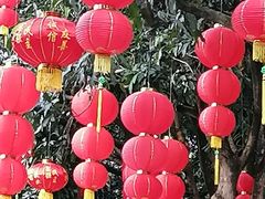 -云溪植物园