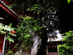 -叩齿古寺