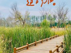 -东郊湿地公园