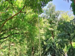 -飞霞风景名胜区