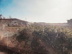 -大连北马山庄