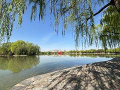-洛阳市隋唐城遗址植物园