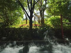-腾冲洞山温泉村