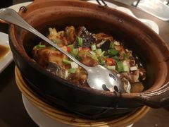 者者鱼头煲-新旺茶餐厅(嘉里城店)