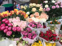 -绿叶子(春秀路店)