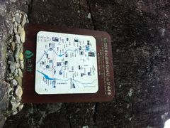 iphone_upload_pic-龙湾潭国家森林公园
