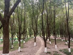 -成都南湖公园