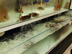 水产区-盒马鲜生(新都心店)