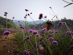 -紫海香堤香草艺术庄园