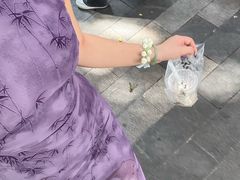 -乐山市博物馆