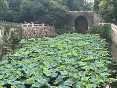 -水绘园