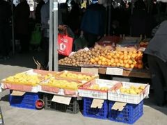 -何庄子阿米玛玛农产品批发市场