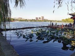 -济南大明湖景区