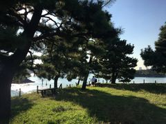 -台场海滨公园船码头