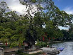 -荔湾湖公园
