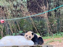 -广州长隆欢乐世界