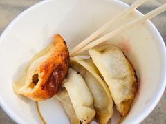 -洋洋锅贴