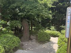 -庐山风景区花径公园