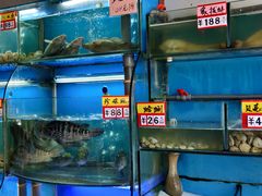 水产区-蔚海之都·象山蒸汽海鲜(仙霞路店)