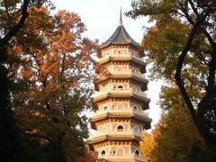 -灵谷景区
