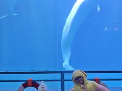 -大连圣亚海洋世界
