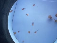 -常州海昌海洋探索馆