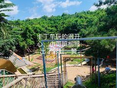-欢乐松鼠谷