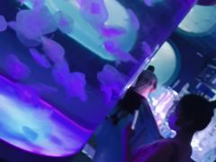 -左海海底世界