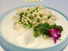 鸡头米手剥虾仁-一品江南韵·淮扬菜