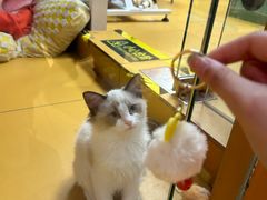 -MARSMART PETS火星宠物超市(1733店)