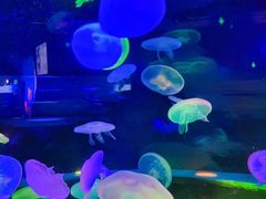 -太平洋海底世界