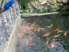 -千滋百味·醉江澜花园餐厅(街道口店)