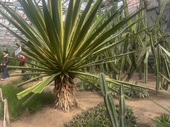 -长春农业博览园