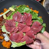 分享一家成都本地人经常去的平价火锅！！！