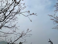 -丰都鬼城名山景区