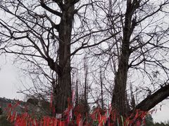 -密印寺