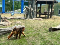 -大连森林动物园