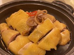 -利苑酒家(合景国际金融广场店)