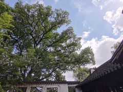 -惠山古镇·寄畅园