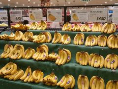 -乐天超市(蚕室店)