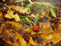 -老板恋上鱼(恒隆广场店)