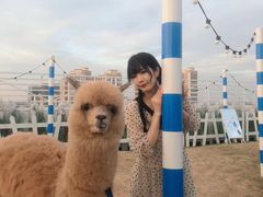 -Blue Concept Cafe&Farm·關於藍