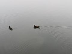 -苏堤停车场