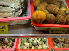 -菌海森林·非遗野生菌火锅(西山区滇池路摩根道店)