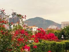 -小南山公园